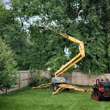 Best Storm Damage Tree Cleanup  in Calvert City, KY